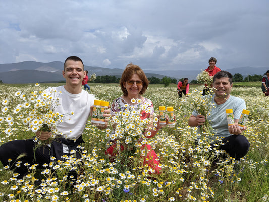 Eczema și modul în care o mică afacere de familie a rezolvat această problemă cu ajutorul unui produs organic