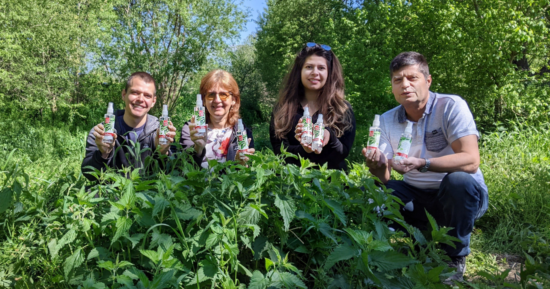 Păr gras și căderea părului - O soluție naturală  - „Apa de urzică”