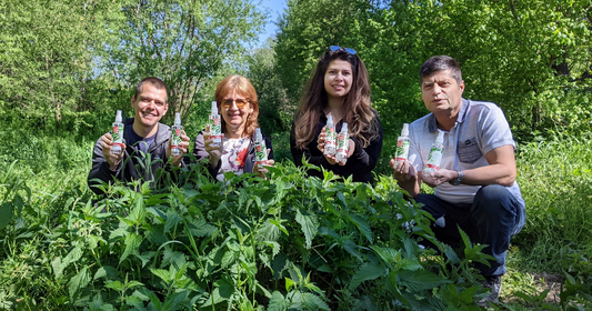 Păr gras și căderea părului - O soluție naturală  - „Apa de urzică”
