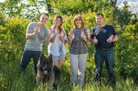 Cum a creat un brand de familie o Soluție naturală pentru sângerarea gingiilor și respirația urât mirositoare cu această plantă magică.