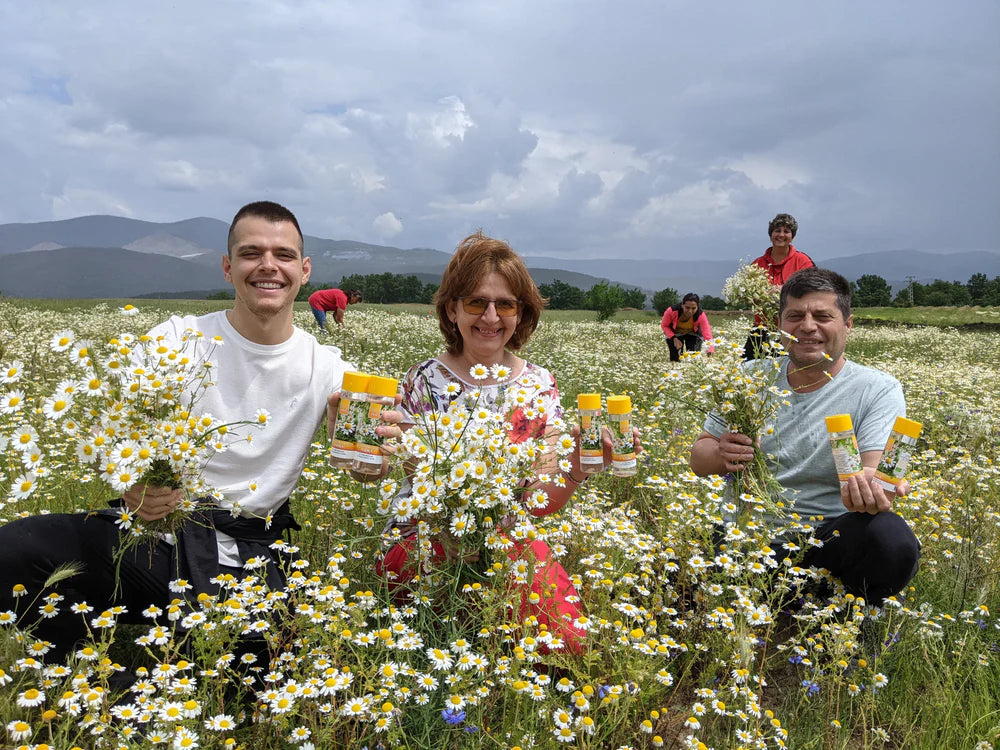 Răspunsul naturii la eczeme: Hydrolina de Mușețel