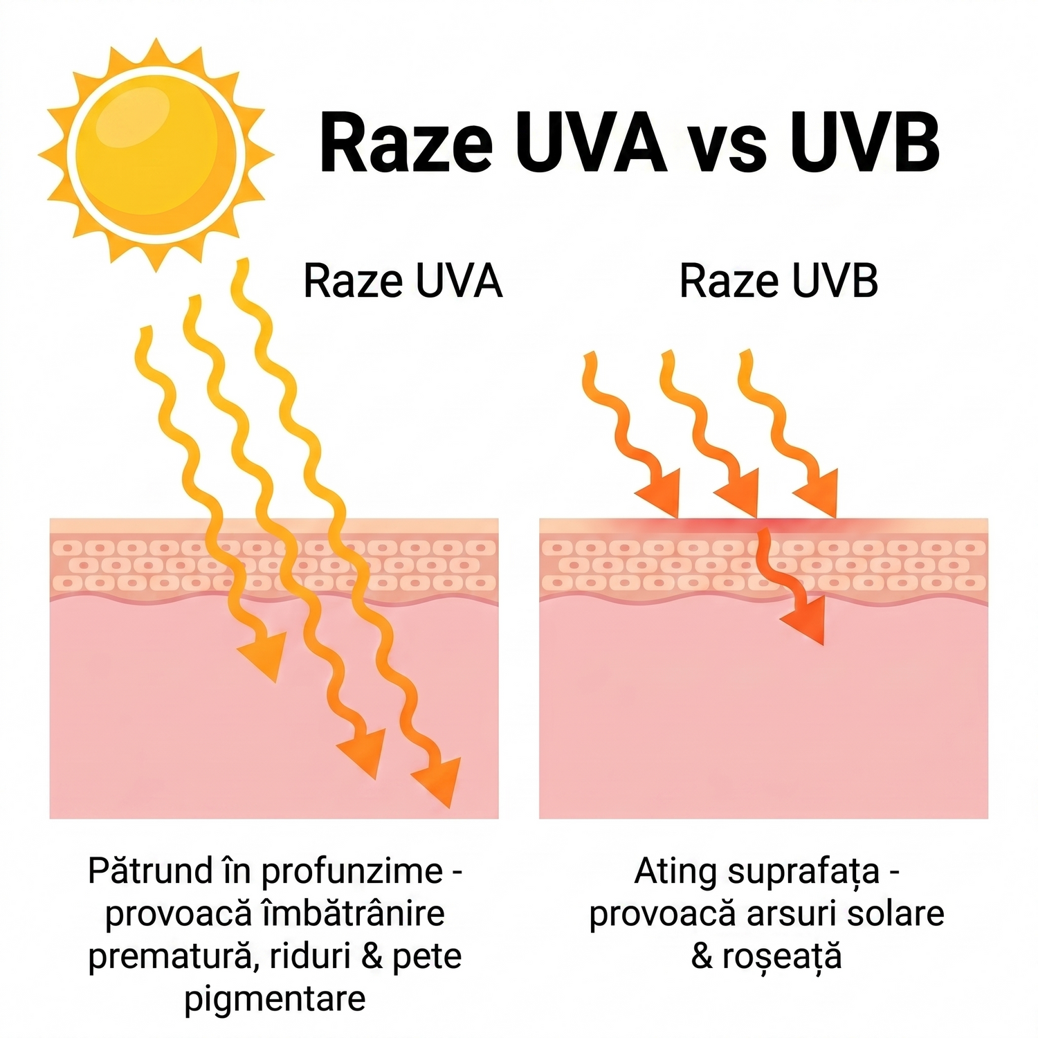spf RO infographic