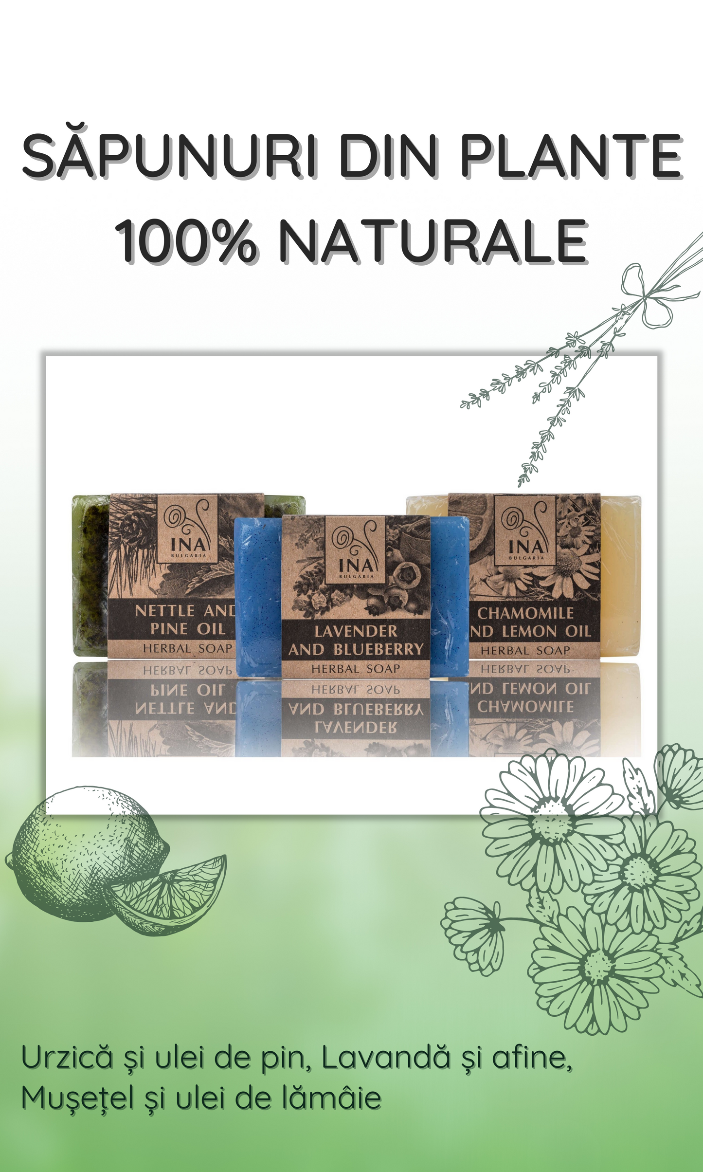 Săpun Natural din Plante cu Lavandă și Afine - corp Acnee și piele predispusă la Pete